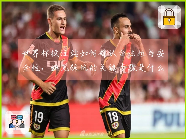 世界杯投注站如何确认合法性与安全性，避免踩坑的关键步骤是什么？
