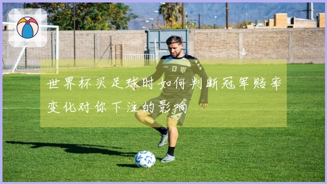 世界杯买足球时如何判断冠军赔率变化对你下注的影响