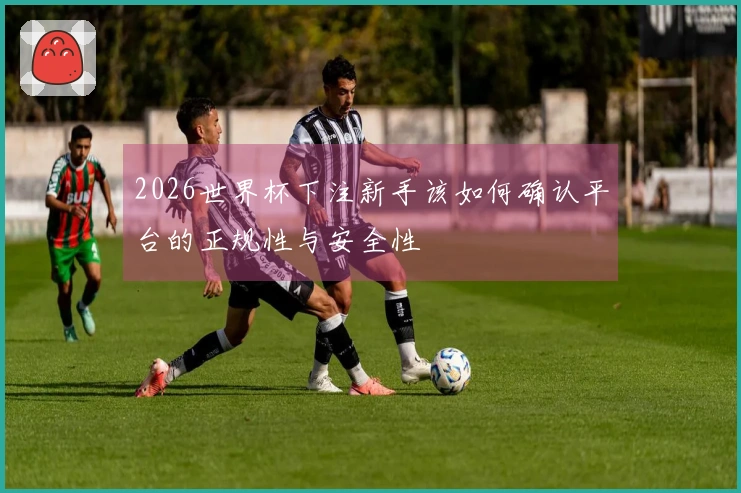 2026世界杯下注新手该如何确认平台的正规性与安全性