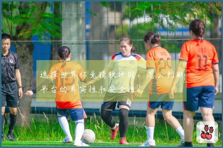 选择世界杯竞猜软件时，怎么判断平台的真实性和安全性？