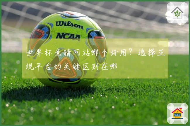 世界杯竞猜网站哪个好用？选择正规平台的关键区别在哪