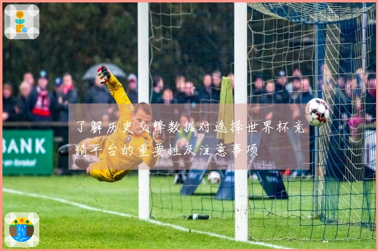 了解历史交锋数据对选择世界杯竞猜平台的重要性及注意事项