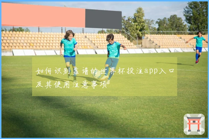 如何识别靠谱的世界杯投注app入口及其使用注意事项