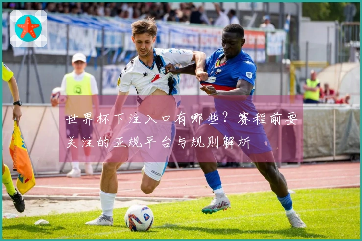 世界杯下注入口有哪些？赛程前要关注的正规平台与规则解析