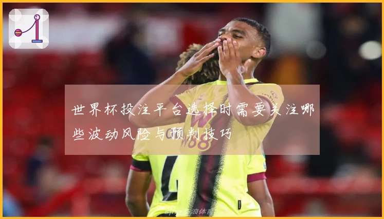 世界杯投注平台选择时需要关注哪些波动风险与预判技巧
