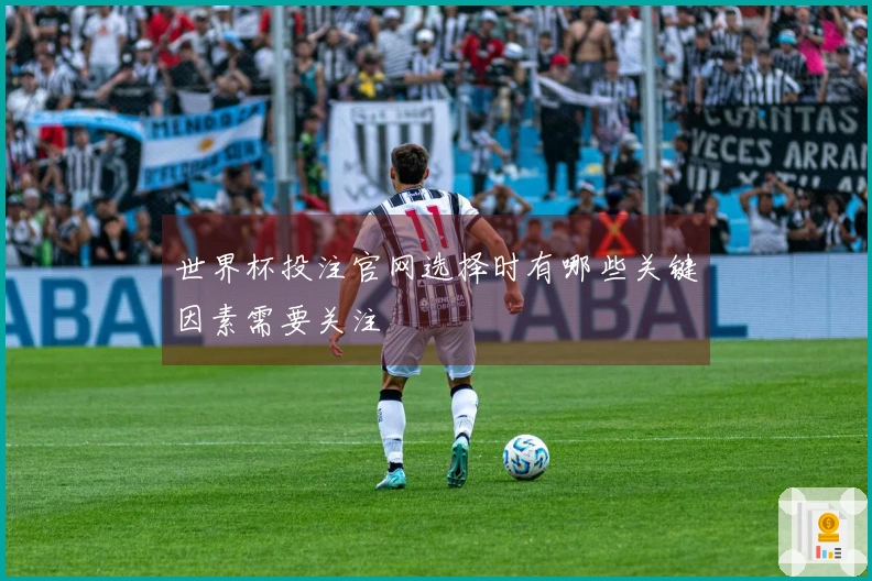 世界杯投注官网选择时有哪些关键因素需要关注