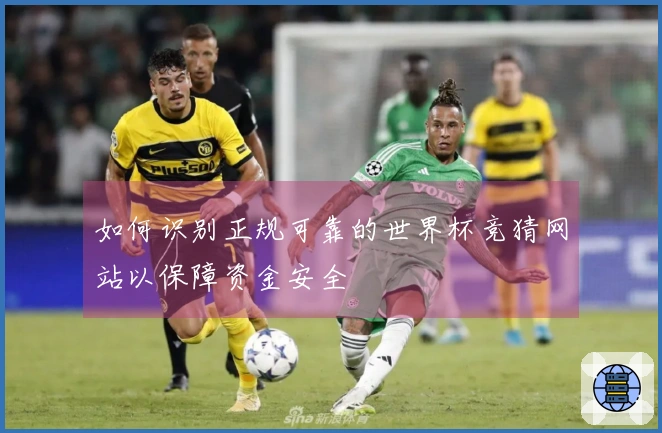 如何识别正规可靠的世界杯竞猜网站以保障资金安全