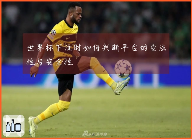 世界杯下注时如何判断平台的合法性与安全性