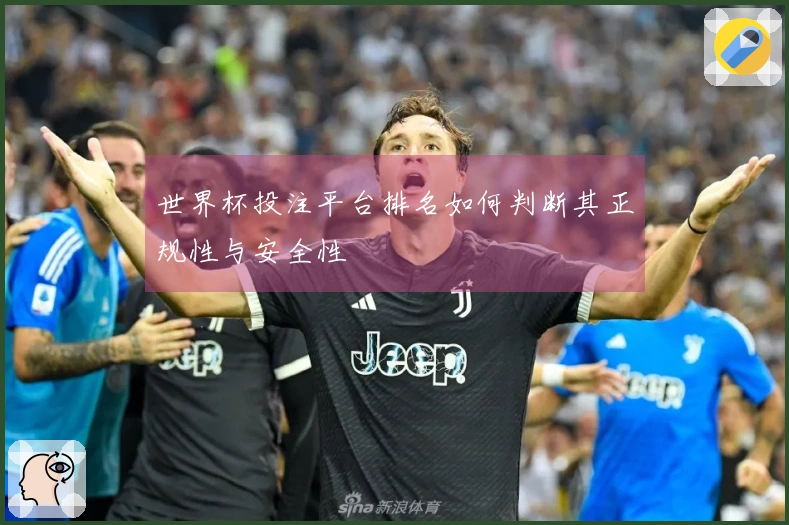 世界杯投注平台排名如何判断其正规性与安全性