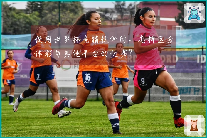 使用世界杯竞猜软件时，怎样区分体彩与其他平台的优劣？