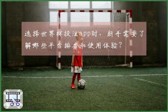 选择世界杯投注app时，新手需要了解哪些平台排名和使用体验？