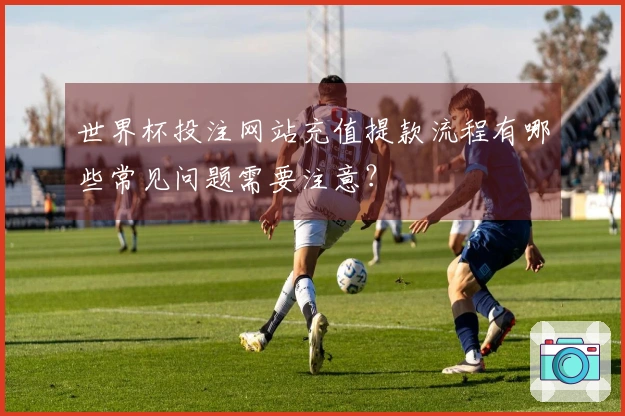 世界杯投注网站充值提款流程有哪些常见问题需要注意？