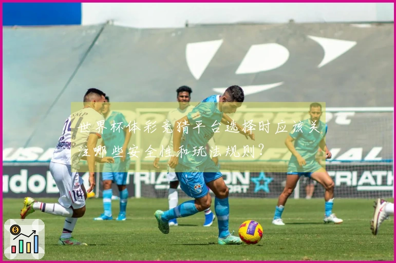 世界杯体彩竞猜平台选择时应该关注哪些安全性和玩法规则？