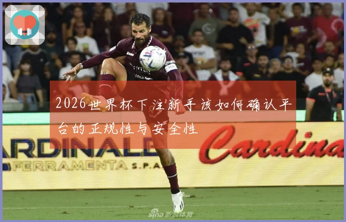 2026世界杯下注新手该如何确认平台的正规性与安全性