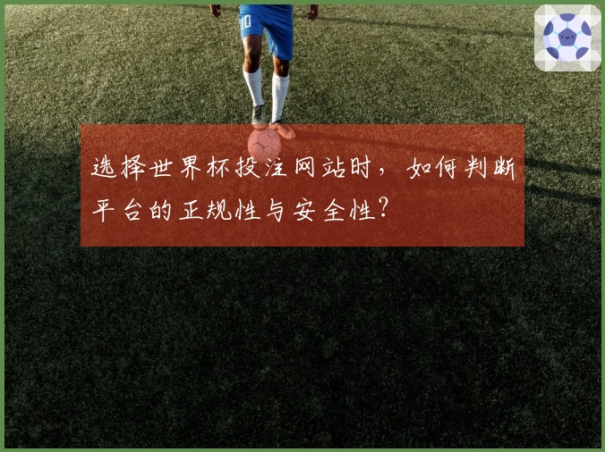 选择世界杯投注网站时，如何判断平台的正规性与安全性？