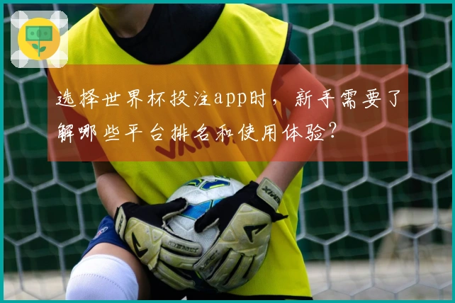 选择世界杯投注app时,新手需要了解哪些平台排名和使用体验?