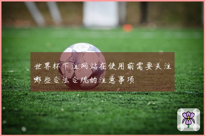 世界杯下注网站在使用前需要关注哪些合法合规的注意事项