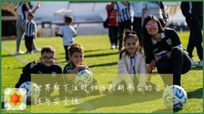 世界杯下注时如何判断平台的合法性与安全性