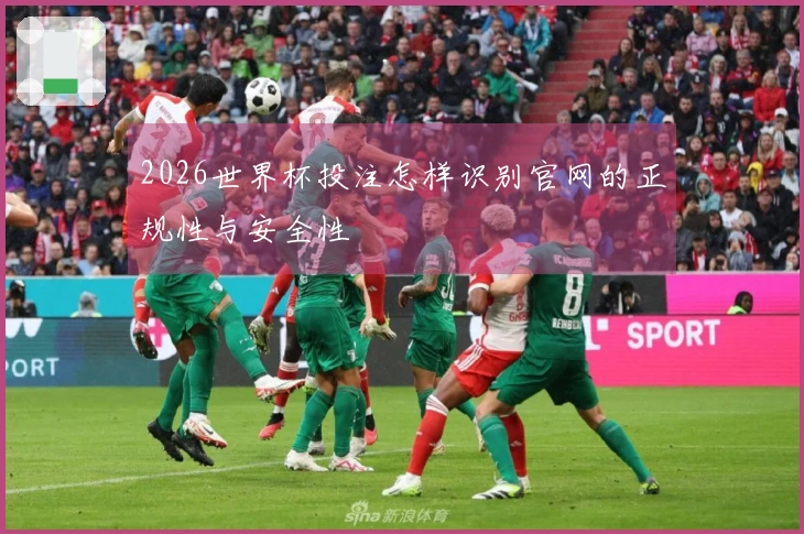 2026世界杯投注怎样识别官网的正规性与安全性
