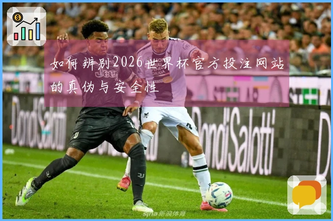如何辨别2026世界杯官方投注网站的真伪与安全性